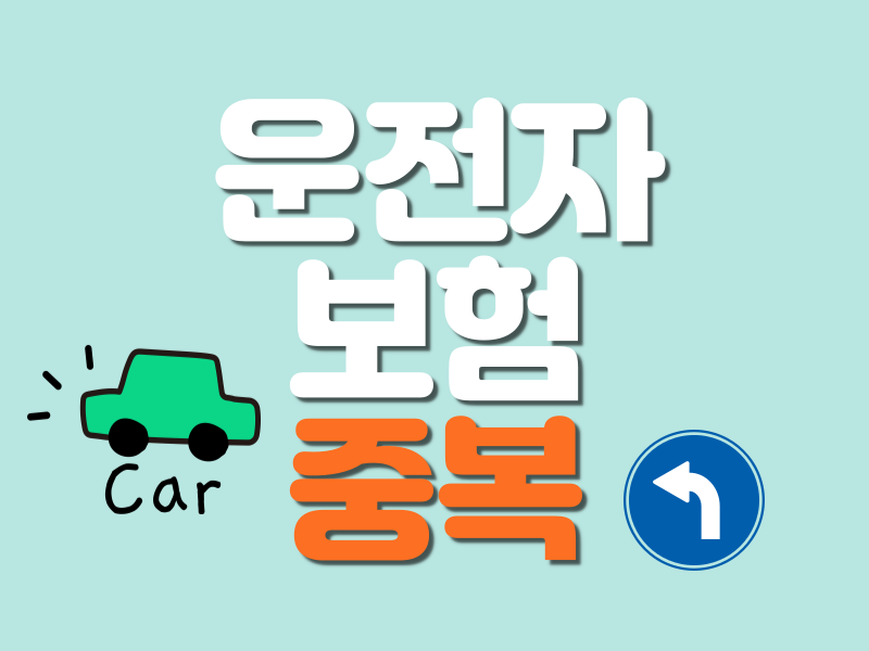 운전자보험  갱신형 vs 비갱신형